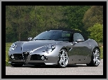 Alfa Romeo 8c Spider, Droga, Drzewa