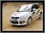 Rajd, Suzuki SX4